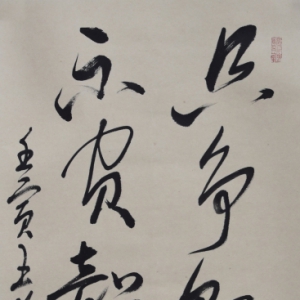 王玨：習(xí)近平主席2020年新年賀詞