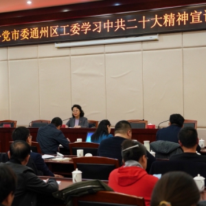 閆傲霜出席致公黨通州區(qū)工委2022年度總結(jié)大會并作中共二十大精神宣講報告