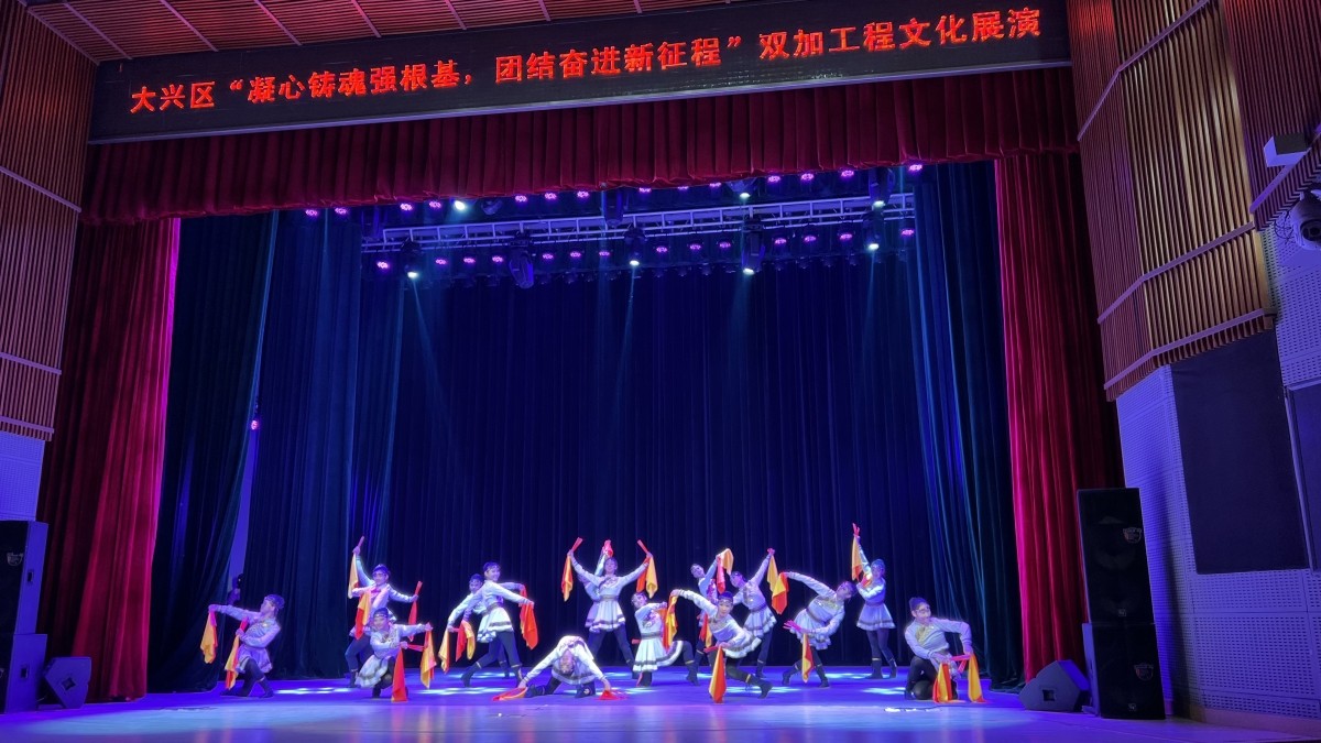 20231104致公黨大興區(qū)總支文化和教育專委會舉辦“凝心聚魂強(qiáng)根基、團(tuán)結(jié)奮進(jìn)新征程”主題文藝演出1_1200.jpg